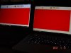 DSC07887s.jpg