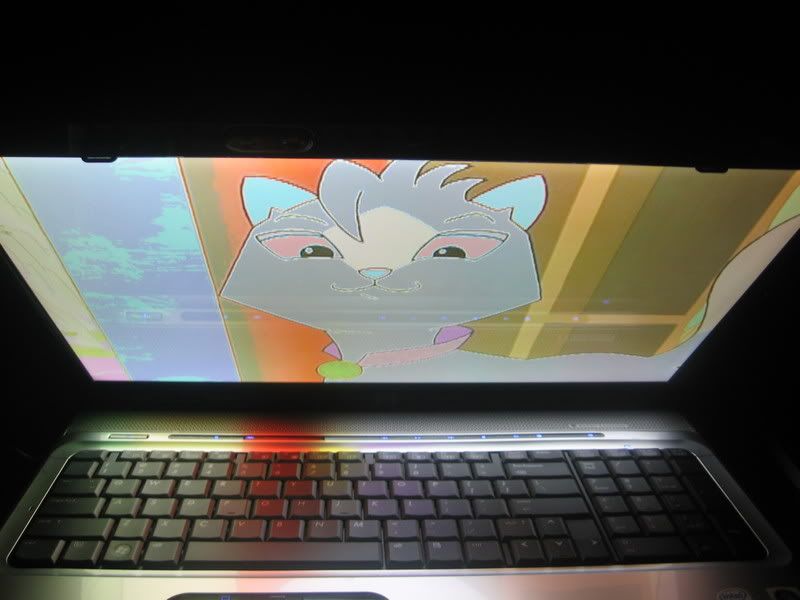 [​IMG]
