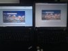 IMG_20110310_154356.jpg