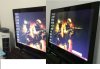 Y50-4.jpg