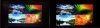 cm_v_lg_front.jpg
