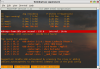 Screenshot-Terminal-1.png
