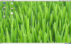 test.png