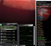 gpu.jpg