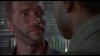 Predator_1.jpg