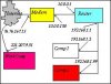 Makeveli72-Network.JPG