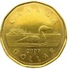 MONEY-LOONIE3.jpg
