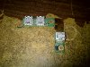 IMG-20110907-00344.jpg