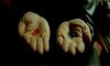 the-matrix-red-pill-lodge-blue-pill2.jpg