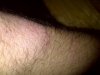 IMG-20110221-00117.jpg
