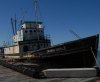 BSH_9450-Edit.jpg