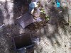 IMG00050-20100622-1748.jpg