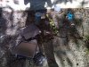 IMG00051-20100622-1749.jpg