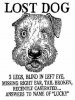 lost-dog.jpg