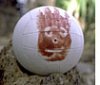 CastAway_wilson.jpg