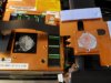 SDC13519.JPG