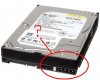 bg_westerndigital04.jpg