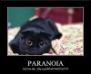Paranoia2.jpg