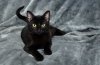 DSC_5317_zpsef9667b2.jpg