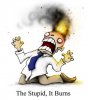 funny-picture-the-stupid-it-burns.jpg