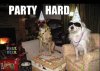 party-hard1.jpg