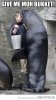 funny-walrus-bucket-meme.jpg