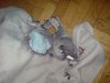 DSC00074.JPG