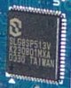 SLG513V.JPG