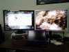 20110905_141554s.jpg