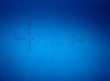 Screen_2.jpg