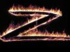 img_3865_zorro.jpg
