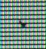 DSCF1487.JPG
