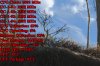 rsz_fallout4_2016-03-19_05-47-26-35.jpg
