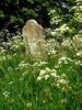 Headstone.jpg